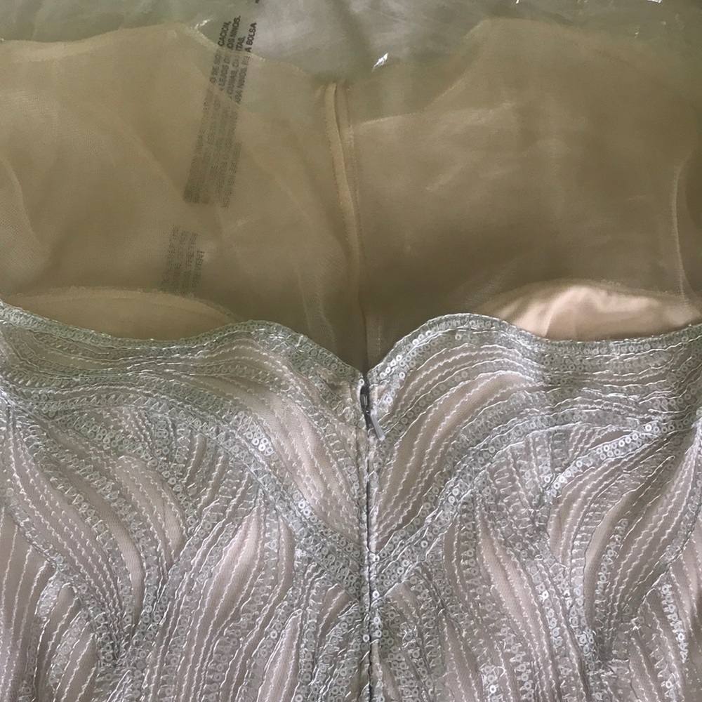 Metallic Embroidered Dress - Picture 6 of 7